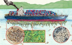 "Sát thủ giấu mặt" đe dọa tàu thuyền mắc kẹt gần eo biển Hormuz
