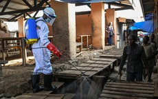 Chạy đua phát triển vắc-xin Ebola