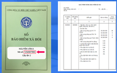 Quên tờ rời BHXH, nhiều lao động mắc kẹt quyền lợi