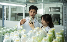 Trường ĐH Văn Lang công bố học bổng "khủng" lên đến 800 triệu đồng/suất