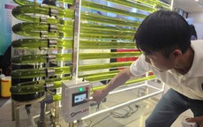 Khởi nghiệp nông nghiệp công nghệ cao không dễ