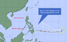 Xuất hiện bão Hagupit ở Tây Bắc Thái Bình Dương, có vào Biển Đông?