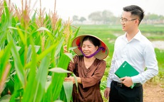 Bảo hiểm nông nghiệp - Chìa khóa mở cánh cửa tín dụng xanh