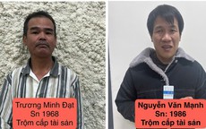 Khởi tố nhóm bắt trộm 124 con chó ở Đà Lạt