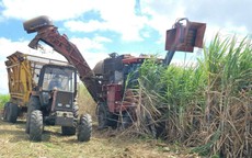 Đường lậu, không rõ nguồn gốc vẫn tràn lan