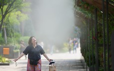 Nỗi lo "siêu El Niño" trở lại