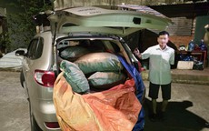 Khởi tố vụ án nhập lậu 1,45 tấn củ ba kích từ Trung Quốc về Việt Nam
