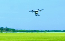 Drone ra đồng, nông dân nhàn hơn