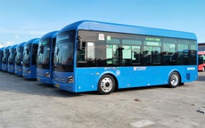 TPHCM thay mới xe buýt trên 3 tuyến từ cuối tháng 6