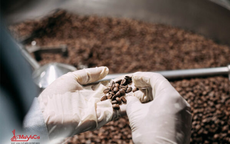 MaYaCa xây dựng nhà máy cà phê đạt chuẩn ISO 22000:2018 ở Đà Nẵng
