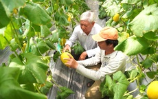 Lan tỏa giá trị ngành nghề nông thôn gắn với bảo vệ môi trường
