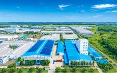 Nguy cơ "tẩy xanh" để hưởng ưu đãi tín dụng