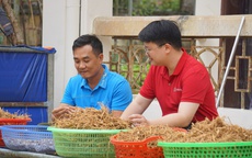 Từ tiếp cận vốn đến phát triển bao trùm: Dấu ấn tài chính toàn diện ở nông thôn (Kỳ 2)