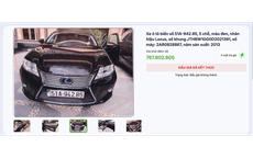 Hạ giá 2 xe sang của bà Trương Mỹ Lan để đấu giá lại