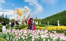 Du khách miền Trung – Tây Nguyên nô nức trẩy hội Bà Nà Hills