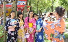 Lễ hội văn hóa Nhật Bản