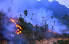 Cháy rừng cạnh khu di tích, hàng trăm người đến dập lửa