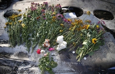 Thêm một “nạn nhân” vụ rơi máy bay MH17