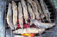 Về phương Nam, thèm món cá đồng