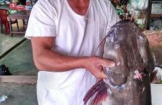 Đắk Lắk: Câu được cá lăng 'khủng' trên sông