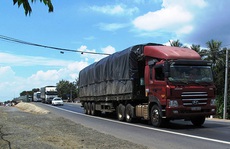 Vận tải hàng hóa: Đường bộ thống lĩnh