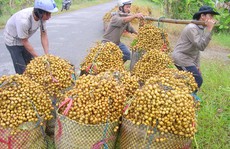 Trái cây tăng giá 3 - 4 lần, nông dân hết hàng để bán