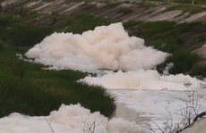 “Bọt tuyết thối” vẫn nổi trắng trên kênh Ba Bò