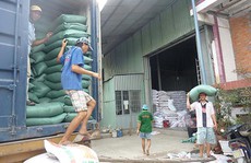 Xuất khẩu gạo bị Thái giành giật thị trường