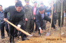 Chủ tịch nước Trương Tấn Sang phát động Tết trồng cây
