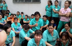 Khánh Hòa: Doanh nghiệp nợ bảo hiểm hơn 214 tỉ đồng