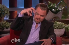 Leonardo DiCaprio suýt làm mồi cho cá mập
