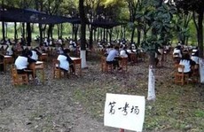Trung Quốc: Sinh viên vào rừng làm bài thi
