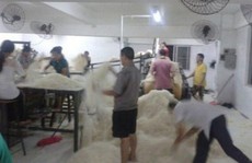 Hãi hùng bún gạo 'bàn chân thối' ở Trung Quốc