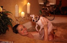 Mariah Carey mạnh tay chi tiền vì... chó cưng!