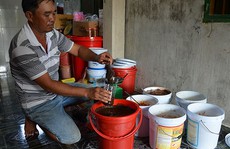 Độc đáo “Mắm còng Nga”