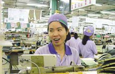 Phát hiện 3 công ty môi giới Đài Loan thu phí cao