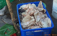 Chủ cơ sở heo thối cầm nữ trang để nộp phạt