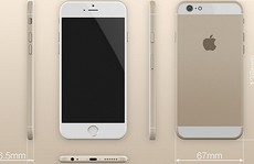 Cả hai bản iPhone 6 có logo phát sáng đều có mặt trong năm nay