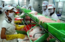 Gỡ vướng về thuế cho doanh nghiệp thủy sản