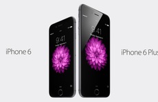 iPhone 6 và iPhone 6 Plus cùng ra mắt