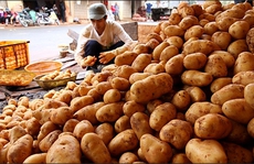 Nông sản Trung Quốc vẫn tràn ngập thị trường