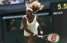 Cơ hội lịch sử của Serena Williams tại giải Mỹ mở rộng 2014