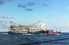 Được tàu hải cảnh yểm hộ, tàu cá Trung Quốc manh động hơn
