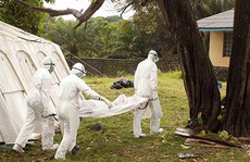 Thế giới phát hoảng vì Ebola
