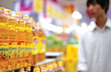 Lãnh đạo tập đoàn nhà nước thu nhập 75 triệu đồng/tháng