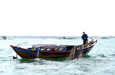 Độc đáo nghề bẫy mực 'làm chơi ăn thiệt' trên vịnh Cam Ranh