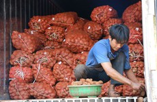 Khoai tây Trung Quốc tràn ngập chợ Nông sản Đà Lạt