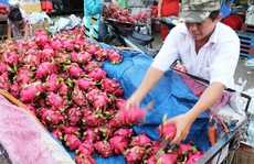 Trung Quốc nhập khẩu trái cây nhiều nhất từ Việt Nam