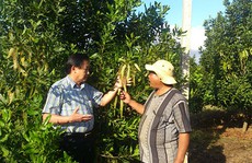 Canh bạc “tỉ đô”