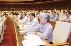 86,64% đại biểu Quốc hội 'quyết' xây sân bay Long Thành